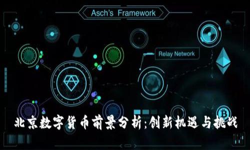 北京数字货币前景分析：创新机遇与挑战