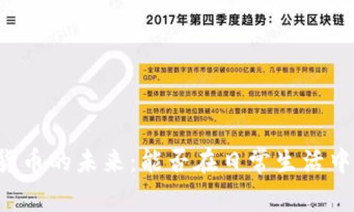 美国数字货币的未来：能否在日常生活中普及使用？