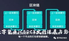 央行数字货币（CBDC）发行