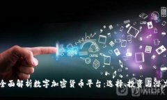 全面解析数字加密货币平
