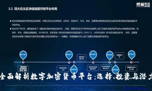 全面解析数字加密货币平台：选择、投资与潜力