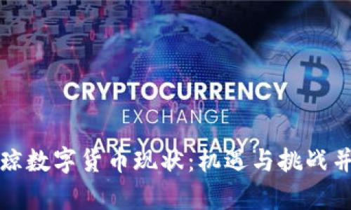 鄂琼数字货币现状：机遇与挑战并存