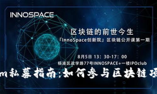 Tokenim私募指南：如何参与区块链项目投资