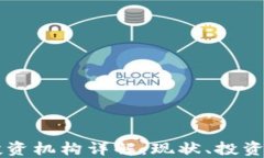 中国数字货币投资机构详