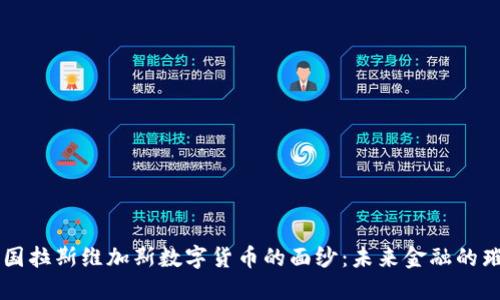 揭开美国拉斯维加斯数字货币的面纱：未来金融的璀璨之星
