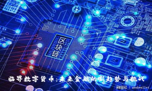 临界数字货币：未来金融的新趋势与挑战