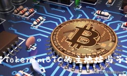 深入了解TokenImBTC的主地址与子地址结构