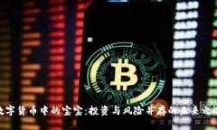 数字货币中的宝宝：投资