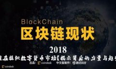 谁在操纵数字货币市场？